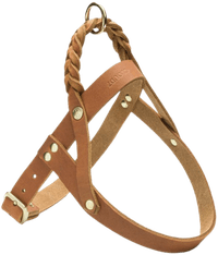Harness Central Park XS-S Camel Gold - view: 0