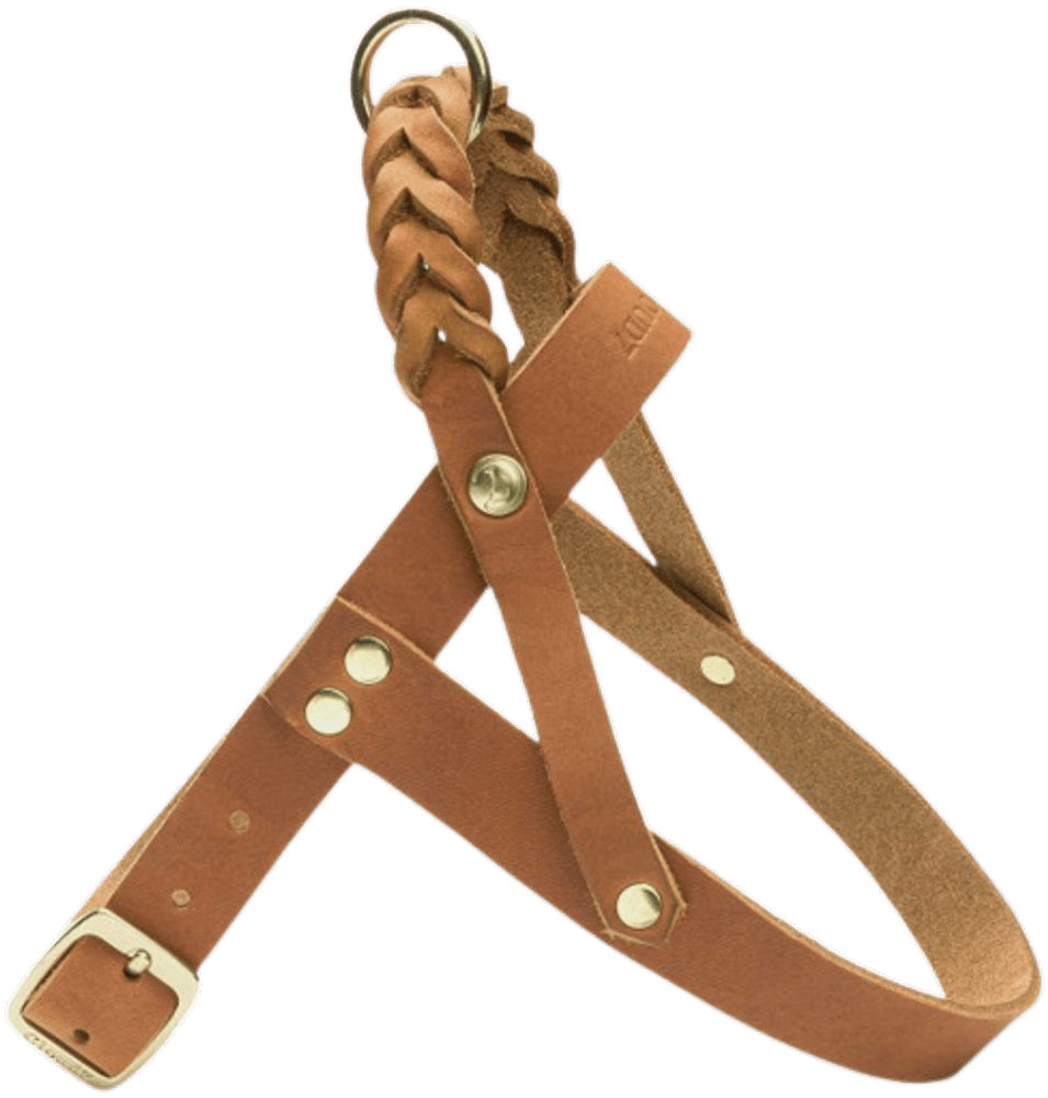 Harness Central Park XS-S Camel Gold, view: 1