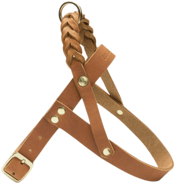 Harness Central Park XS-S Camel Gold, view: 1