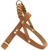 Harness Central Park XS-S Camel Gold - view: 1