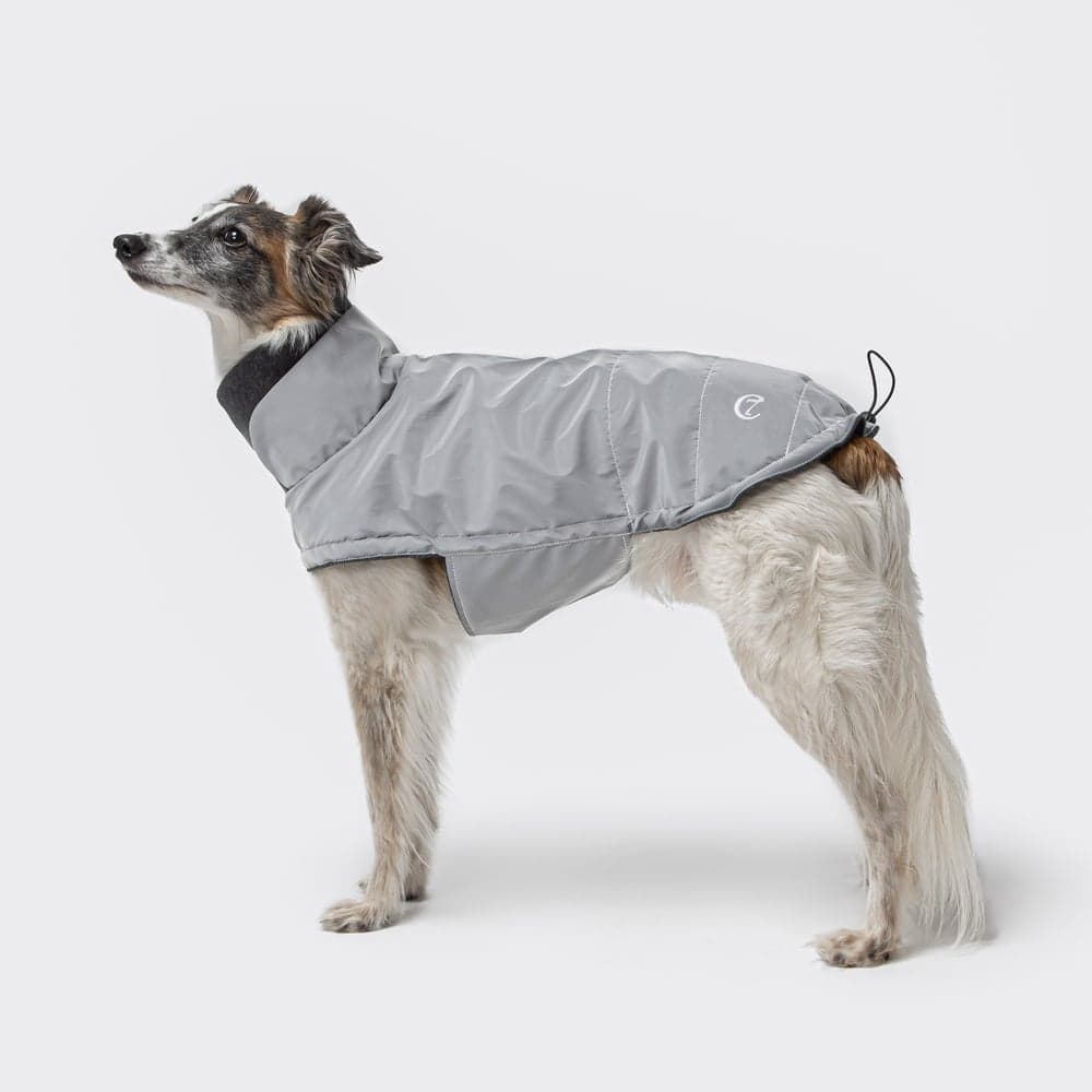 Brooklyn Dog Coat strl 4-5 Reflective, view: 1