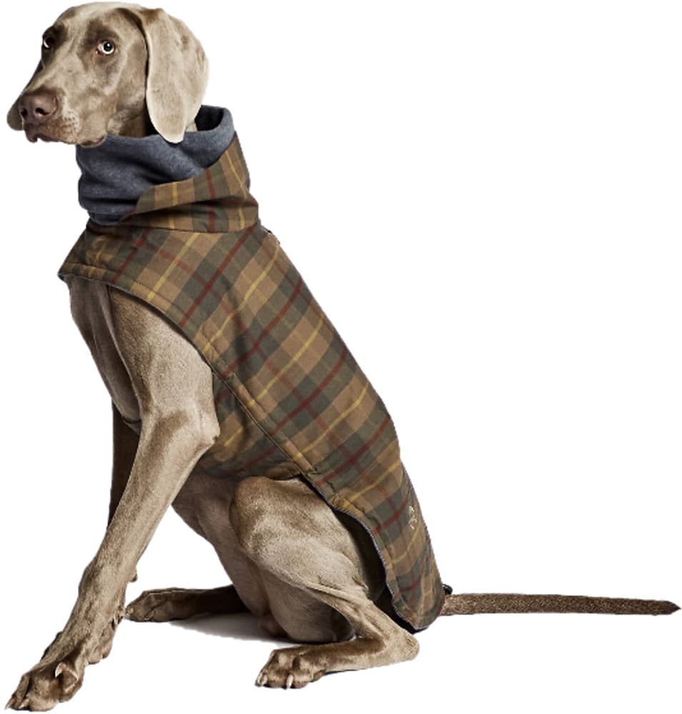 Brooklyn Dog Coat strl 6-10 Waxed Tartan, view: 3
