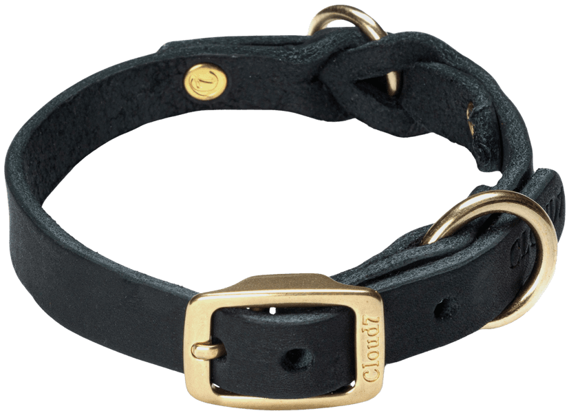 Collar Riverside Park L-XL Black Gold, view: 0