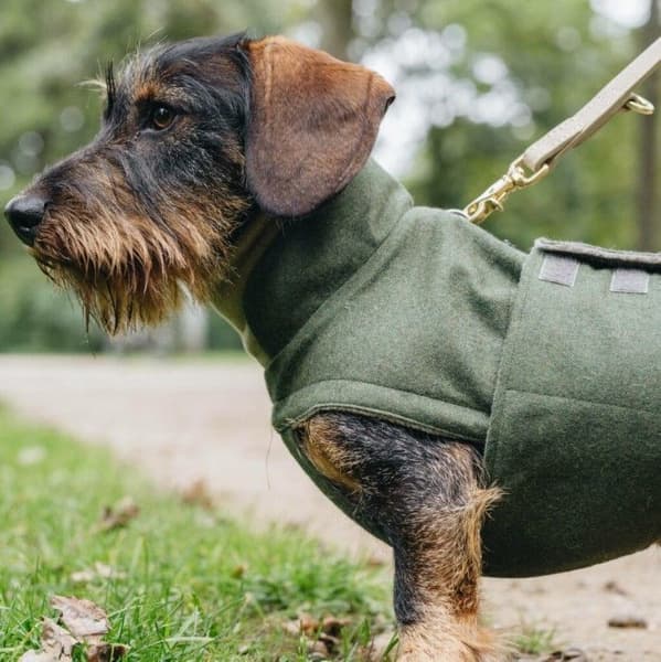 Brooklyn Dachsdekken Fern Green strl 2, view: 4