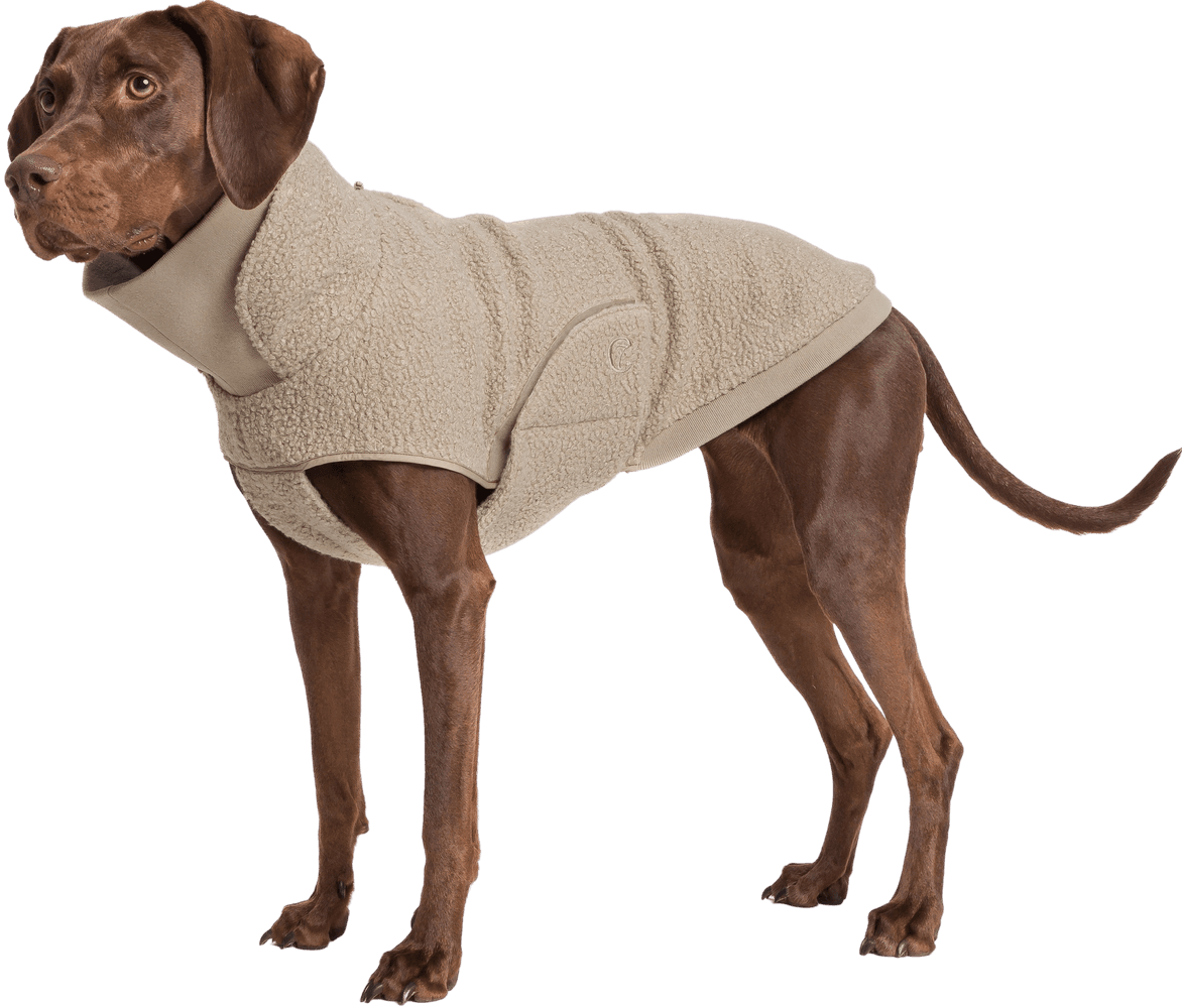 Dog Sweater Gotland Size 4-7 Beige, view: 4