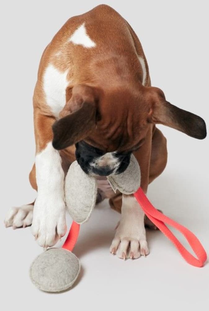 Hundleksak Filt Potatisar, view: 2