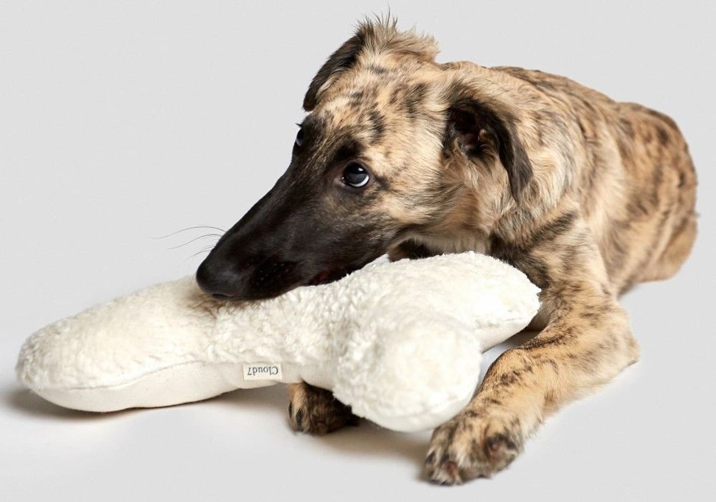 Hundeleke Love Bone White Plush Size S, view: 1