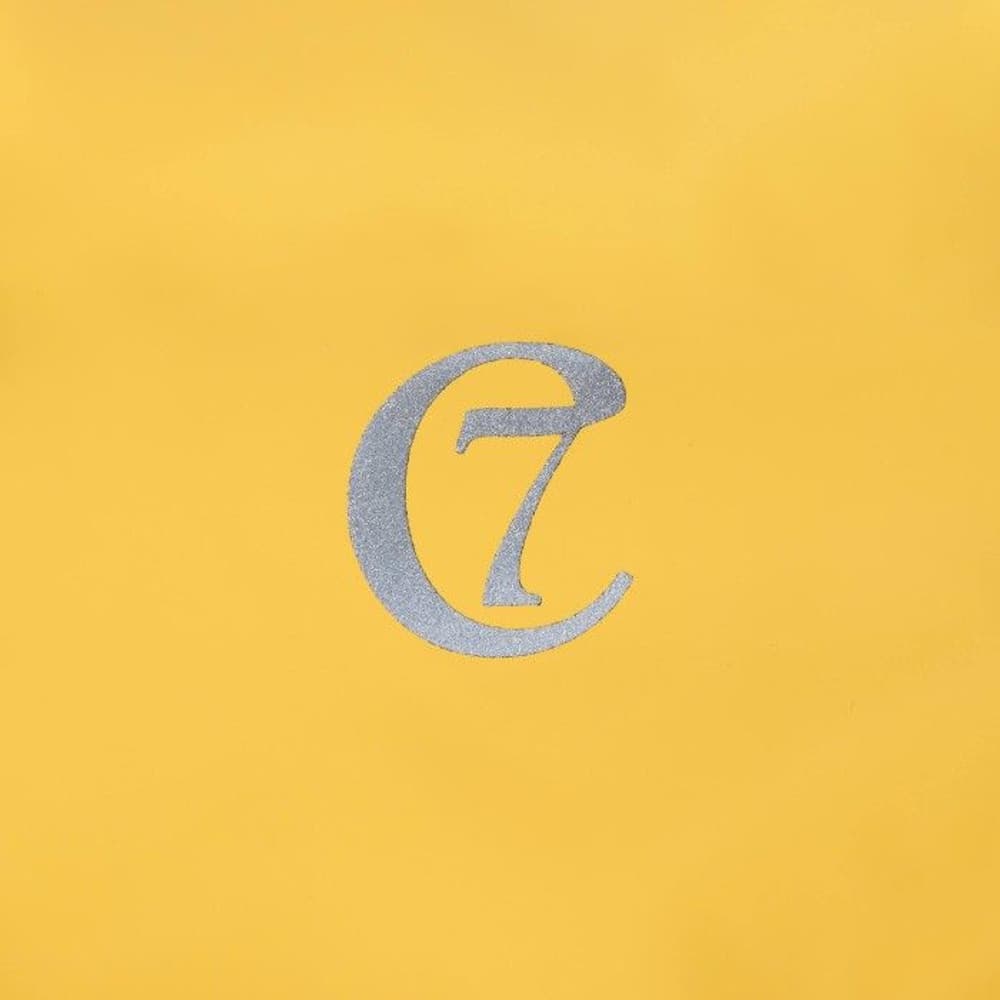 Hamburg Dog Raincoat strl 4-5 Saffron, view: 2