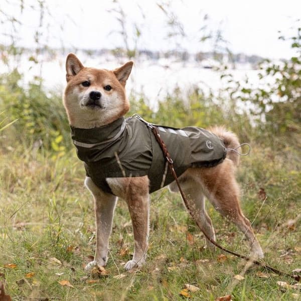 Hamburg Dog Raincoat strl 6-10 Moss Green, view: 1