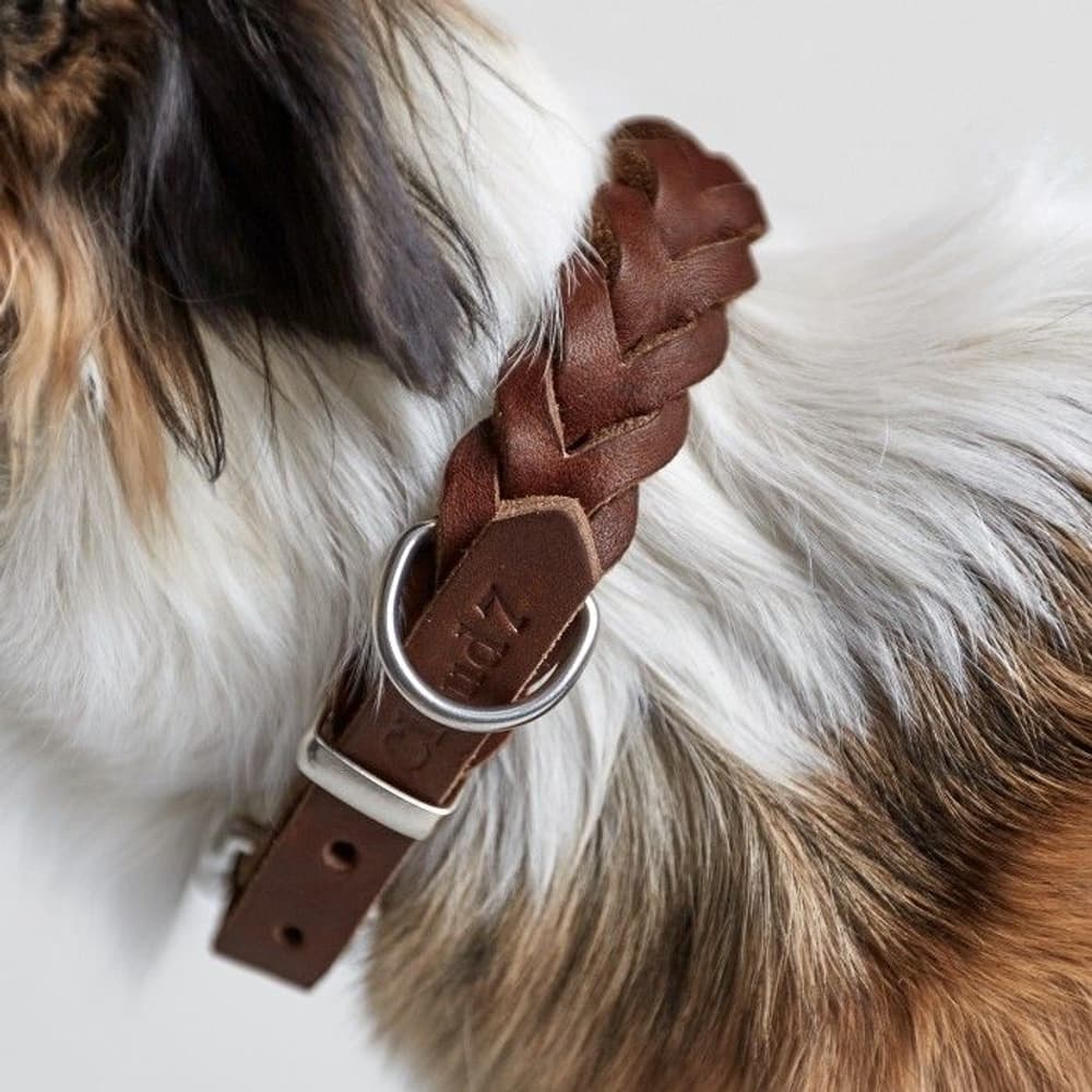 Halsband Central Park Size XS-M Saddle Brown, view: 1