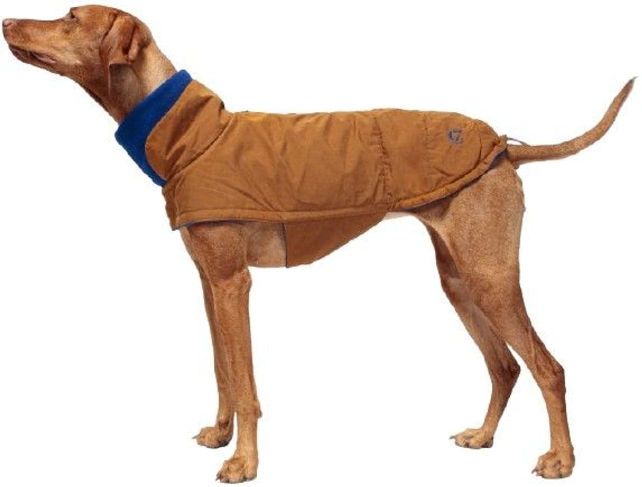 Dog Coat Brooklyn Waxed Cotton size 6-9 Curry, view: 1