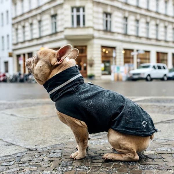 London French Bulldog Dog Raincoat Slate str 6, view: 0
