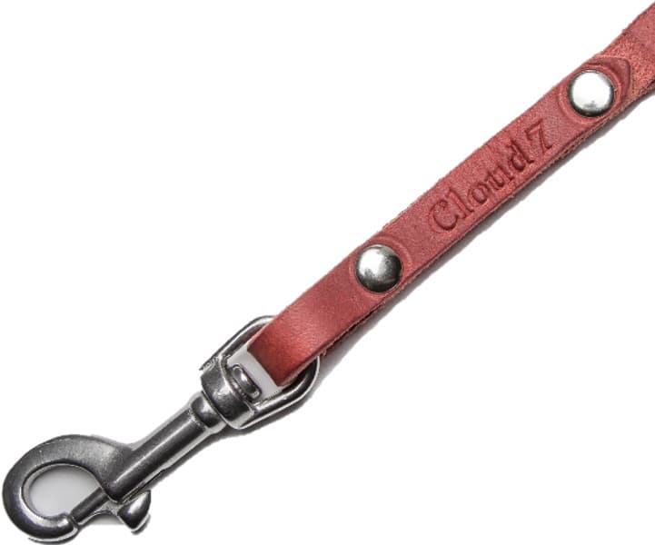 Leash L Central Park Merlot, view: 1