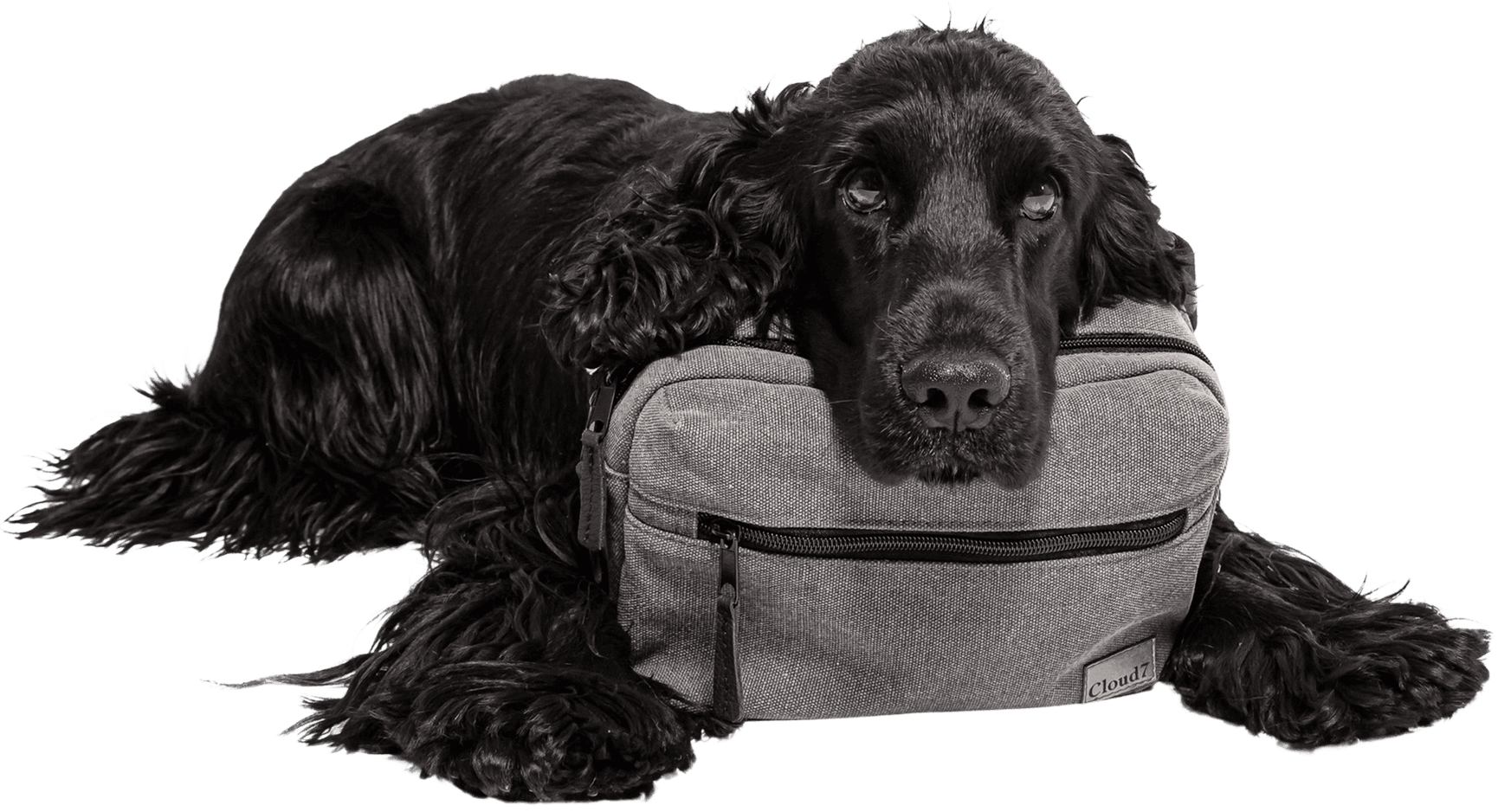 Belt Bag Green, view: 5