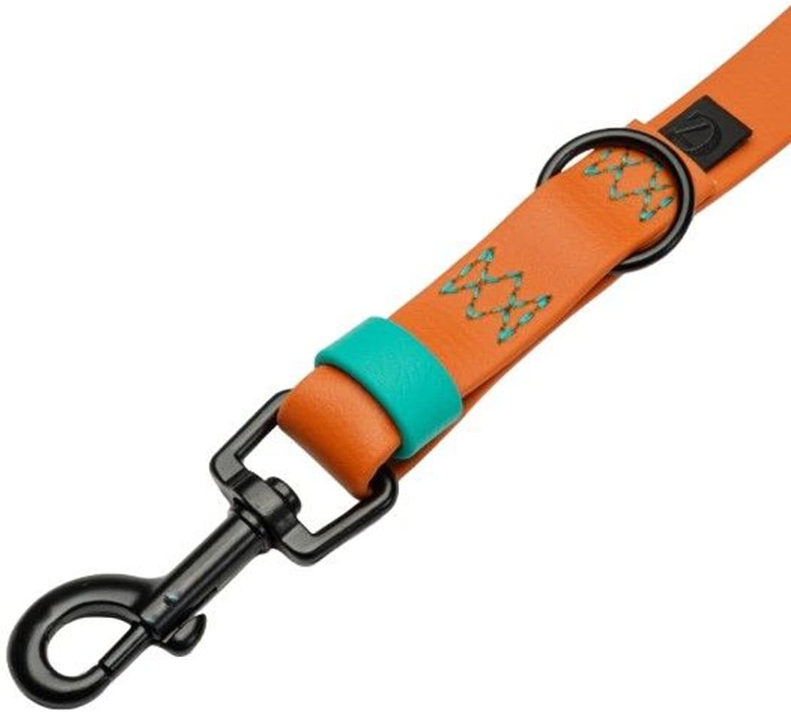 Dog Leash L Ipanema Orange, view: 2