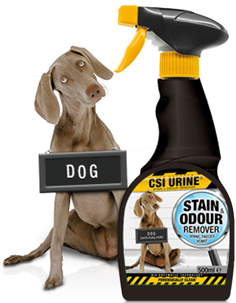 Dog Spray 500 ml, view: 0