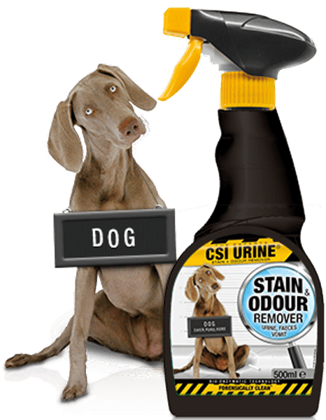 Dog Spray 500 ml, view: 0