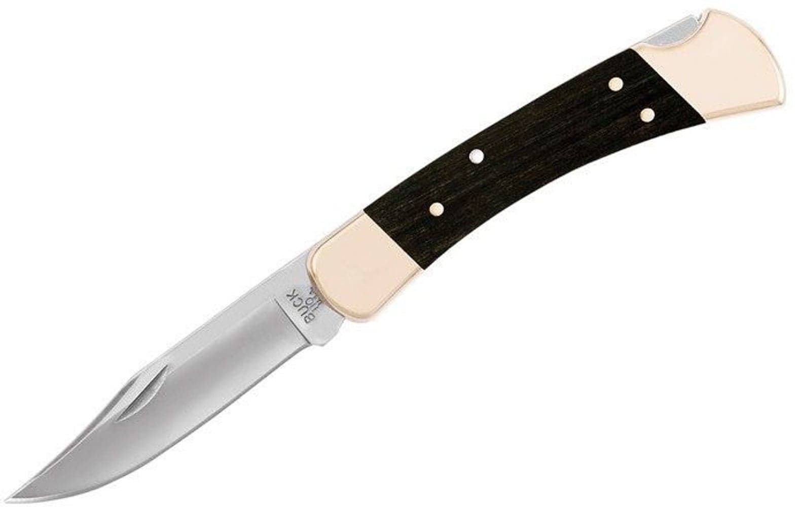 Buck 110 Foldekniv, view: 0