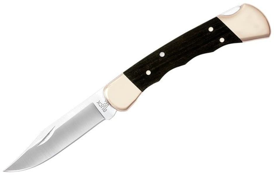 Buck 110FG: Folding Hunter, view: 0