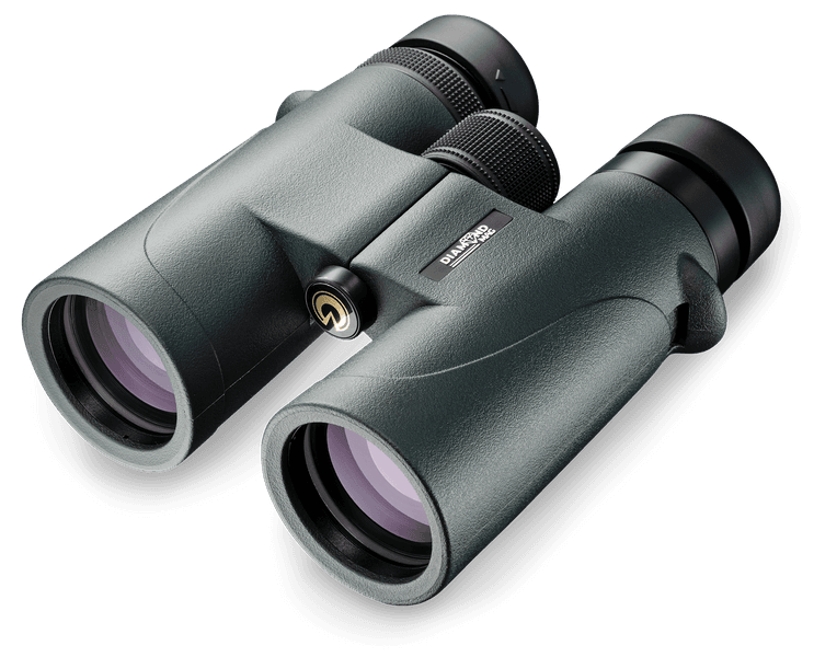 10 x 42 Diamond Mag, view: 0