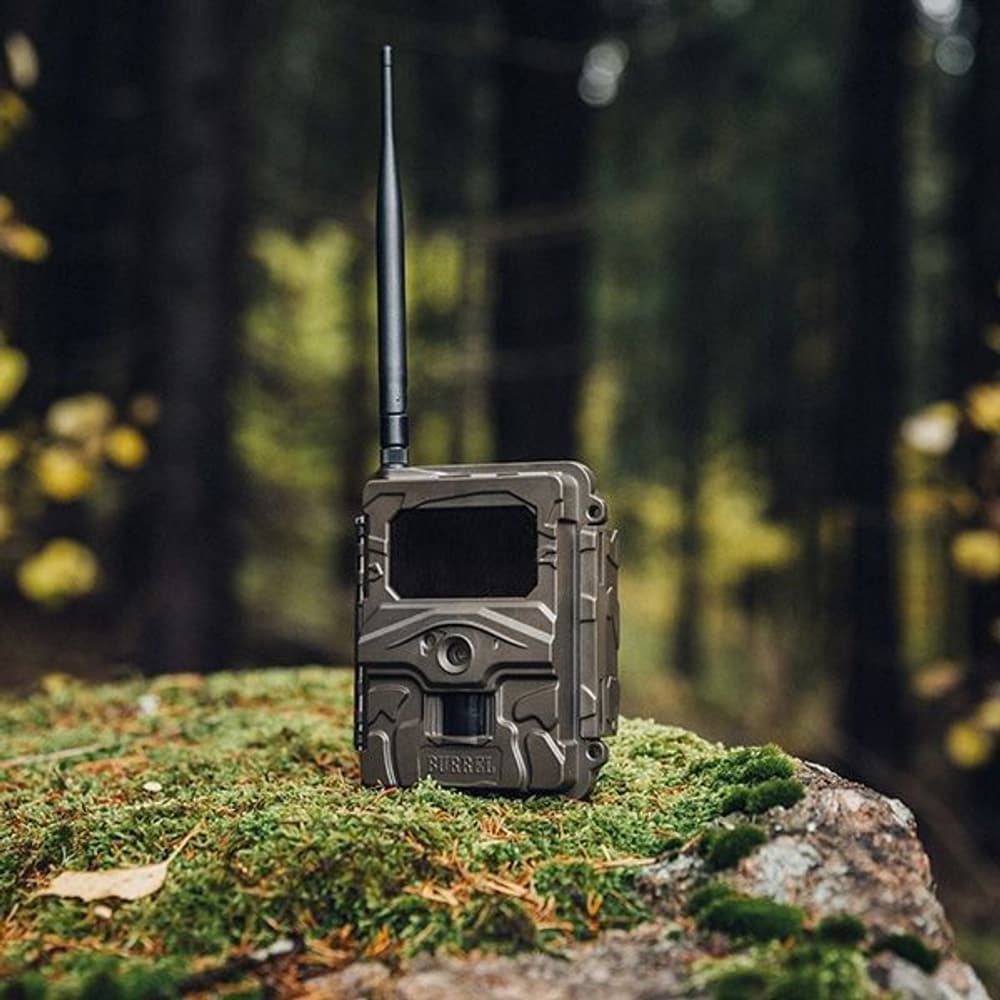 S12 HD+MMS II Sendende Viltkamera, view: 3