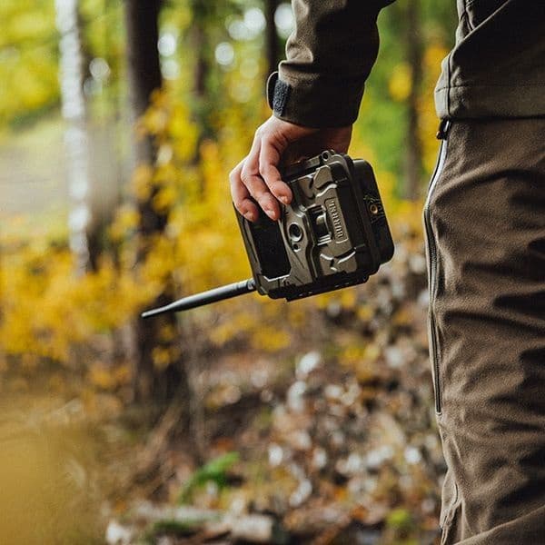 S12 HD+MMS II Sendende Viltkamera, view: 2