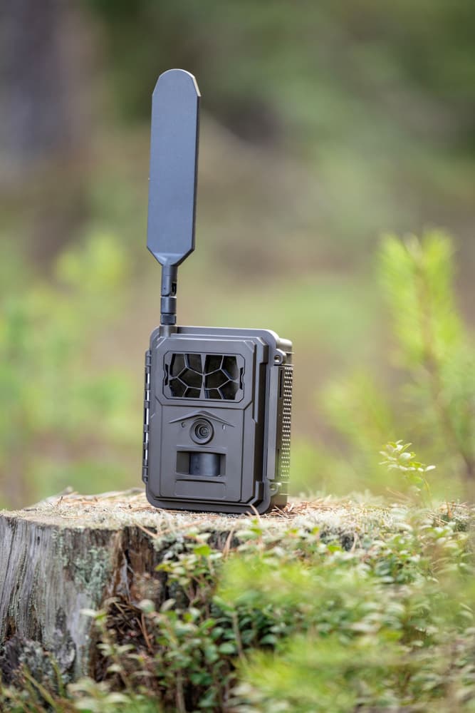 E24 Global Trail Camera, view: 3