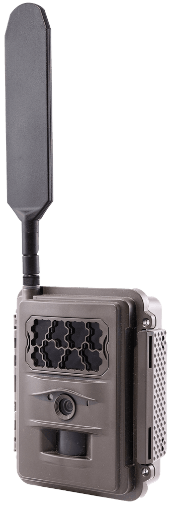 N24 Global Trail Camera, view: 2