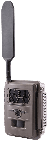 N24 Global Trail Camera, view: 2