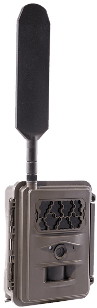 N24 Global Trail Camera - view: 1