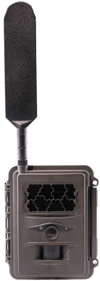 N24 Global Trail Camera - view: 0