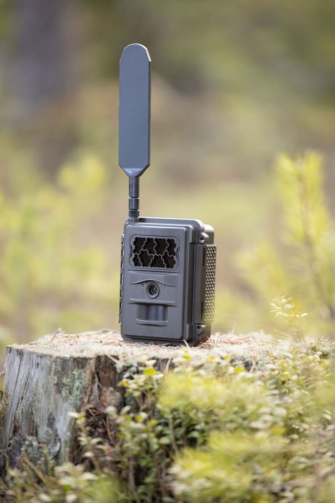 N24 Global Trail Camera, view: 3