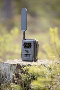 N24 Global Trail Camera - view: 3