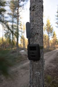 N24 Global Trail Camera - view: 4