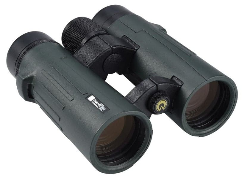 Diamond Pro 10x42 ED, view: 0