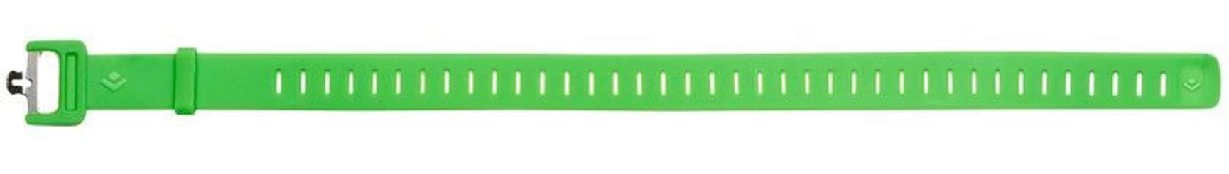 Ski Strap 63 cm Envy Green, view: 0