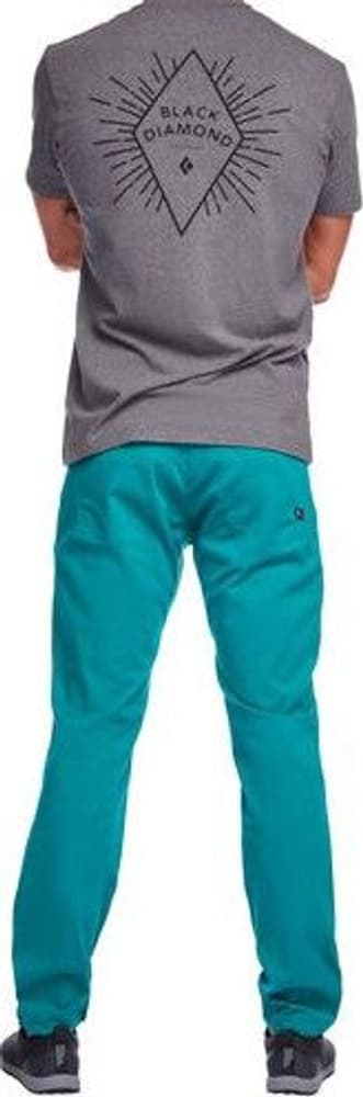 M's Credo Pants Carbon, view: 2