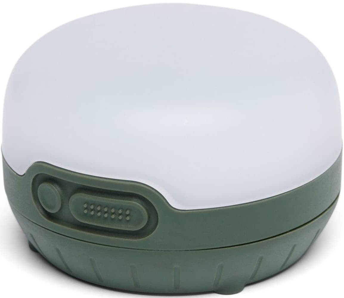 Moji R+ Lantern Dark Laurel, view: 2