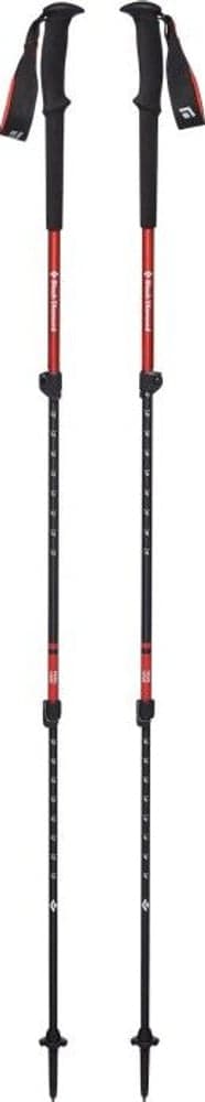 Trail Trek Poles Picante, view: 0