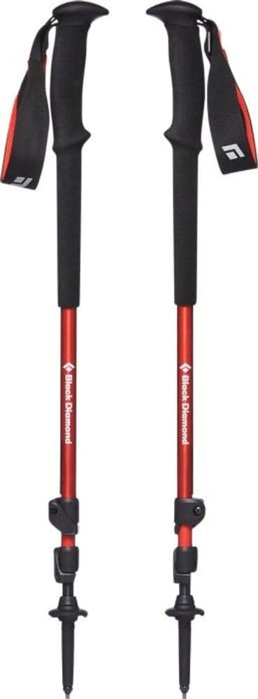 Trail Trek Poles Picante, view: 1