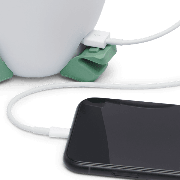 Orbiter 650 Lantern Desert Sage, view: 7