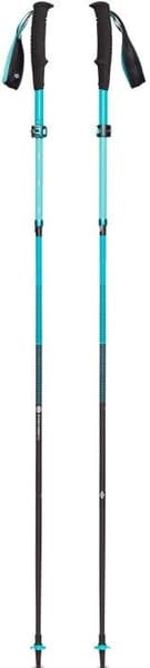 W's Distance FLZ Poles Dark Patina, view: 0