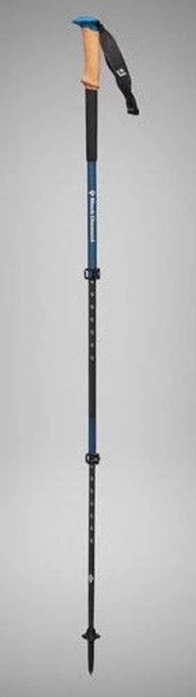 Alpine Carbon Cork WR Trekking Poles, view: 3