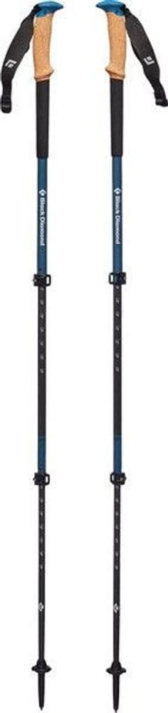 Alpine Carbon Cork WR Trekking Poles, view: 0