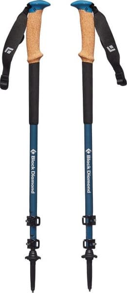 Alpine Carbon Cork WR Trekking Poles, view: 1