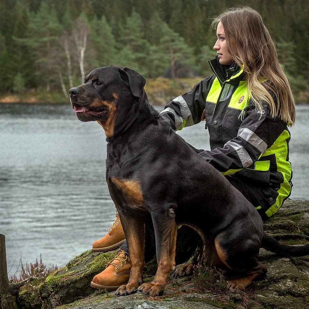 Arrak Original Jacket Hi-Viz, view: 6