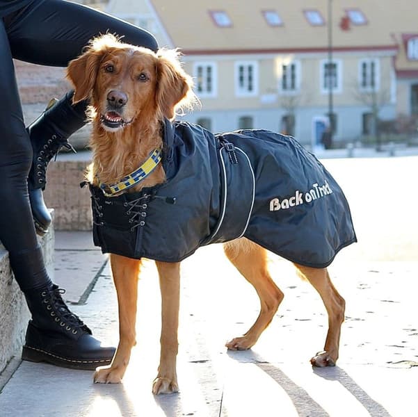 Back on Track Hundedekken Svart 27-40 cm, view: 1