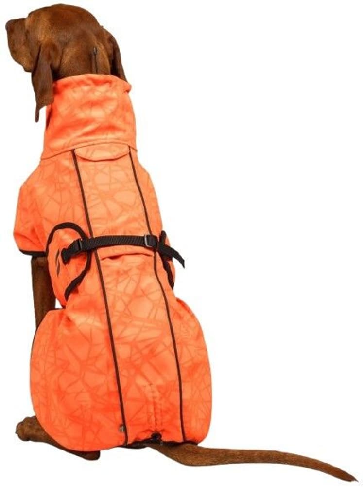 Back on Track Hundedekken Bark Orange 70-75 cm, view: 2