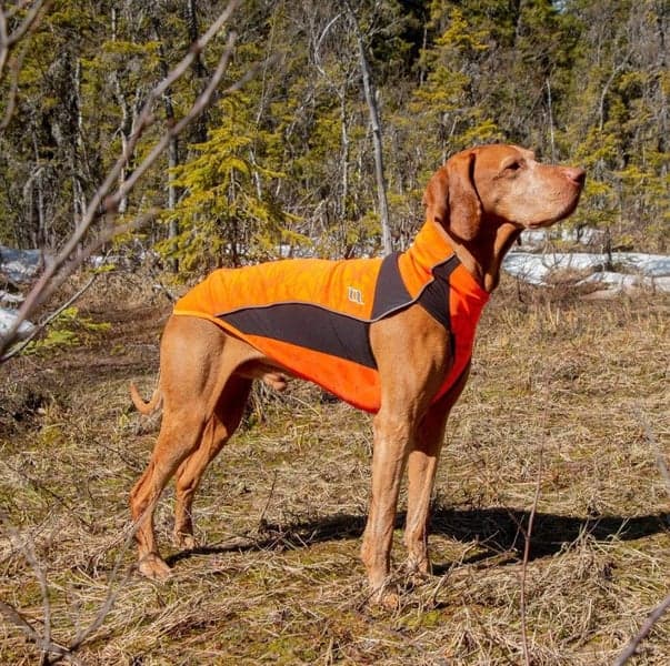 Back on Track Hundedekken Eddie Orange 60-70 cm, view: 1