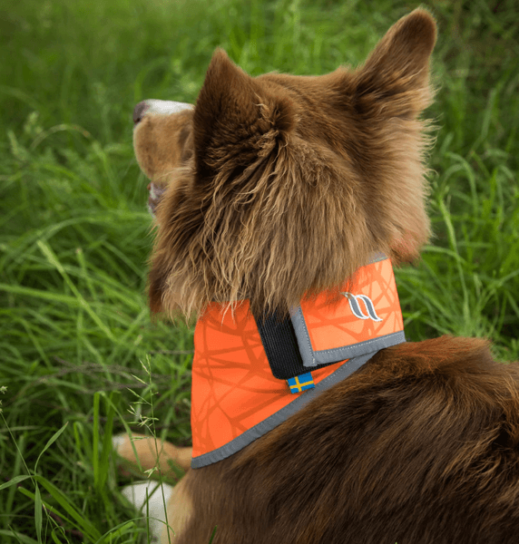 Draco Reflexbandana S-XL Orange, view: 3